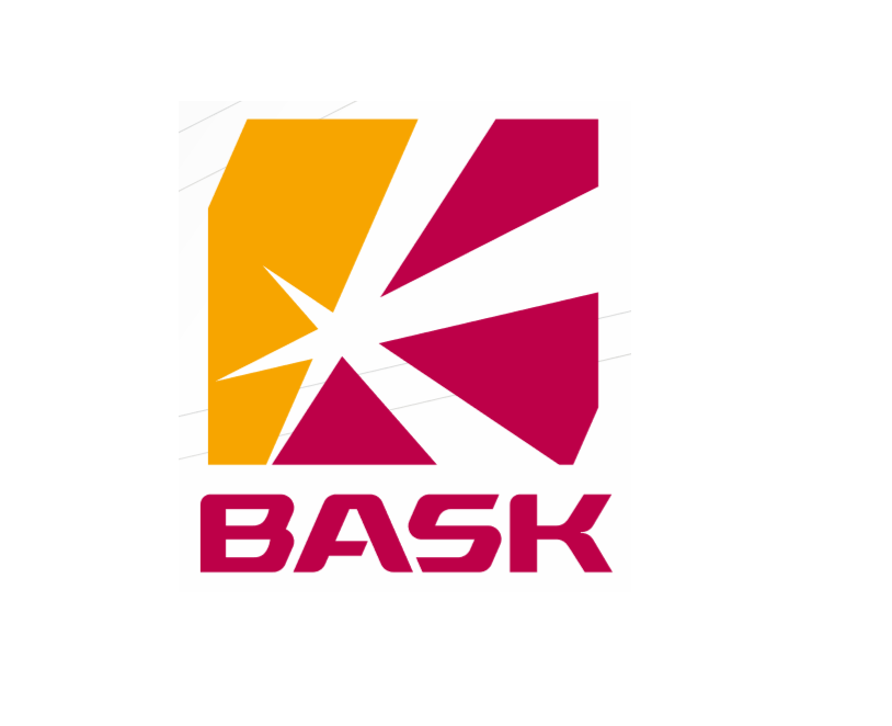 Компания BASK спонсор фестеваля "Крепкий орешек"