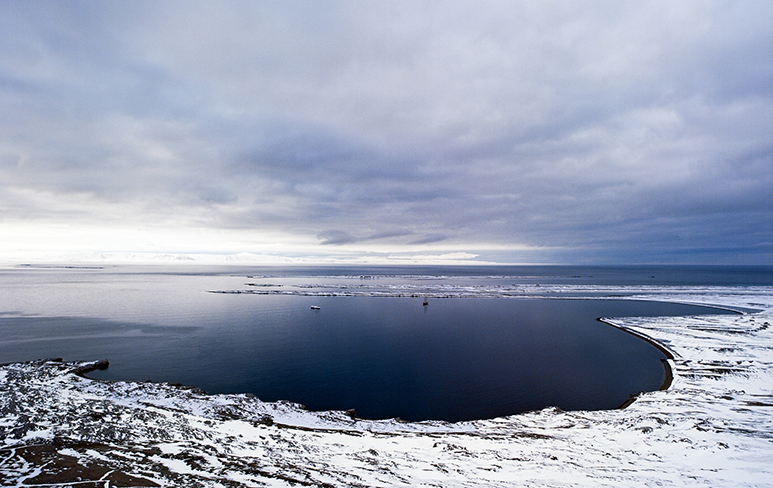 

Приключенческий тур BASK, Последний градус: лыжная экспедиция на Северный полюс