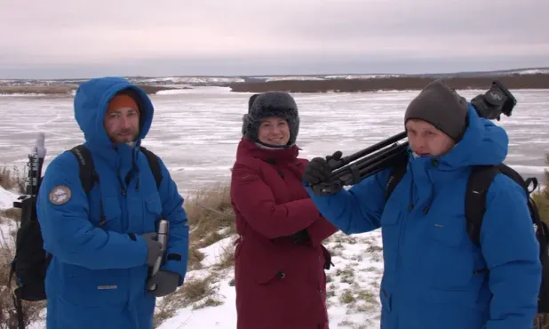 Реализованные проекты