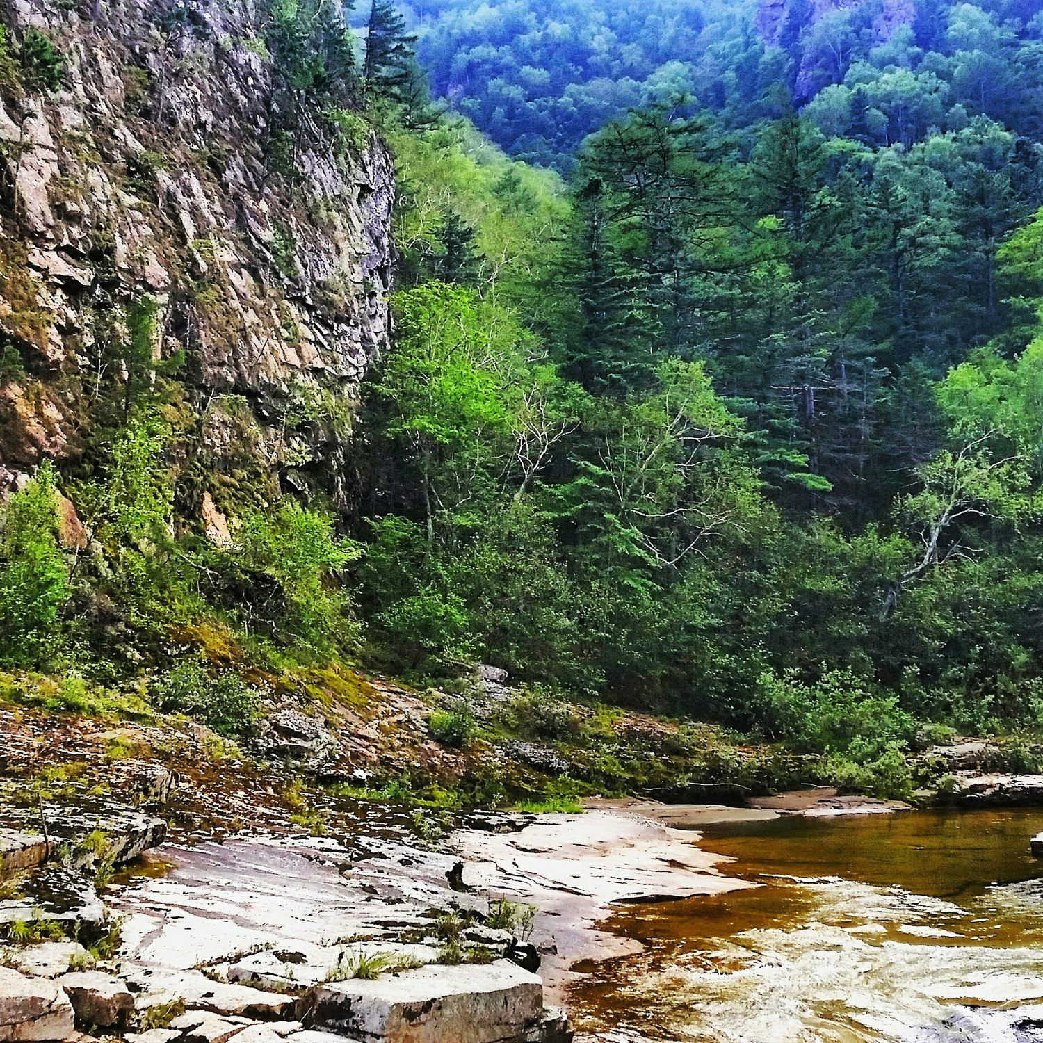 Фото Уссурийского Краю