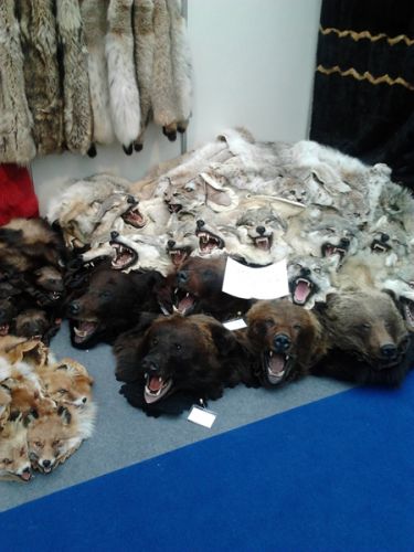 2012-10-11 12.51.17_s