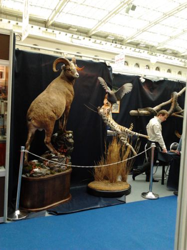 2012-10-11 11.16.18_s