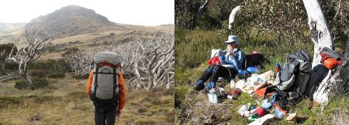 bask-light-69-pack-review-3