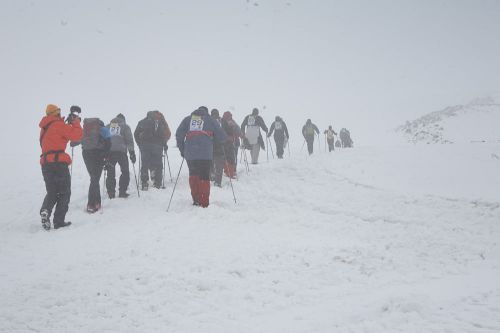 старт-побежали-3