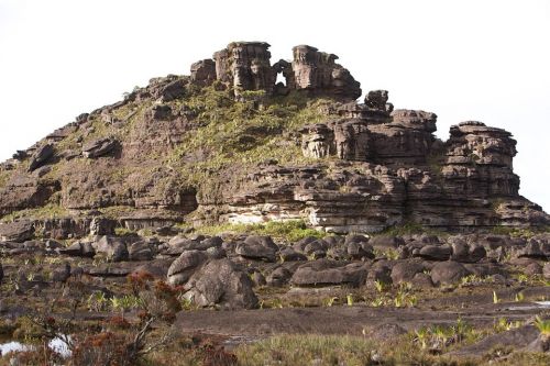 149255_526161690760286_806432835_n