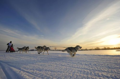 882436_310050235787454_1431225760_o