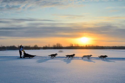 11147_134895600014601_188640751_n