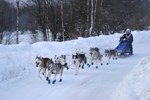 856170_310811972377947_1777443940_o